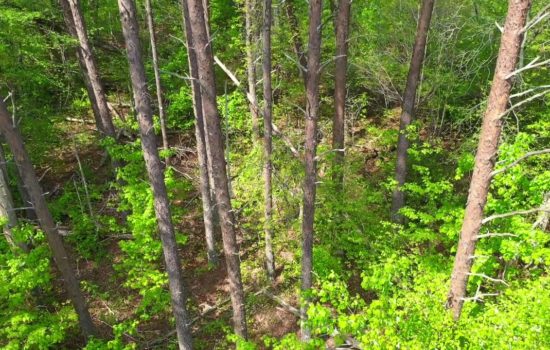 5 Acres of Wooded Land in Polk County TN