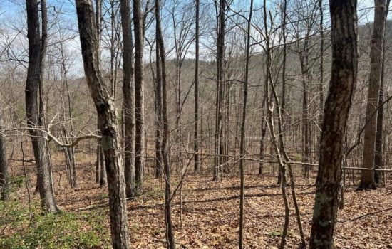 .75 Acres in the Ft. Valley Shenandoah County VA