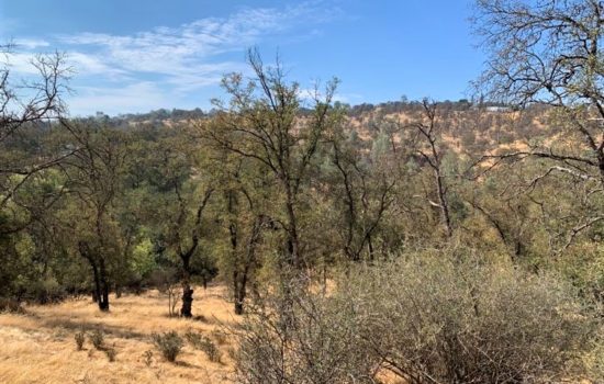 2.3 Acre Homesite in Mariposa County CA